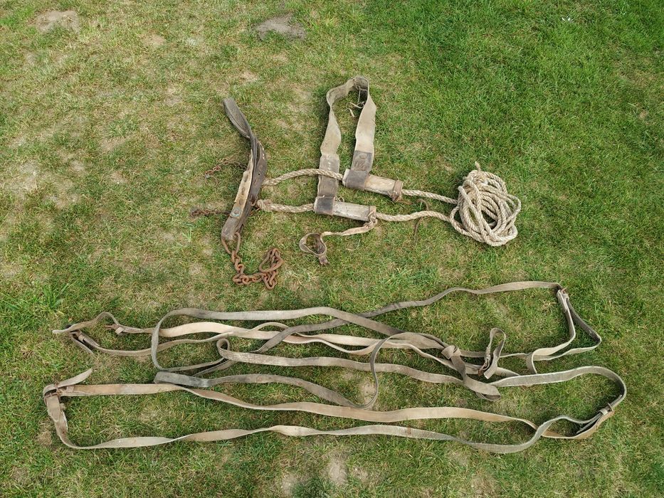 Uprząż konna lejce