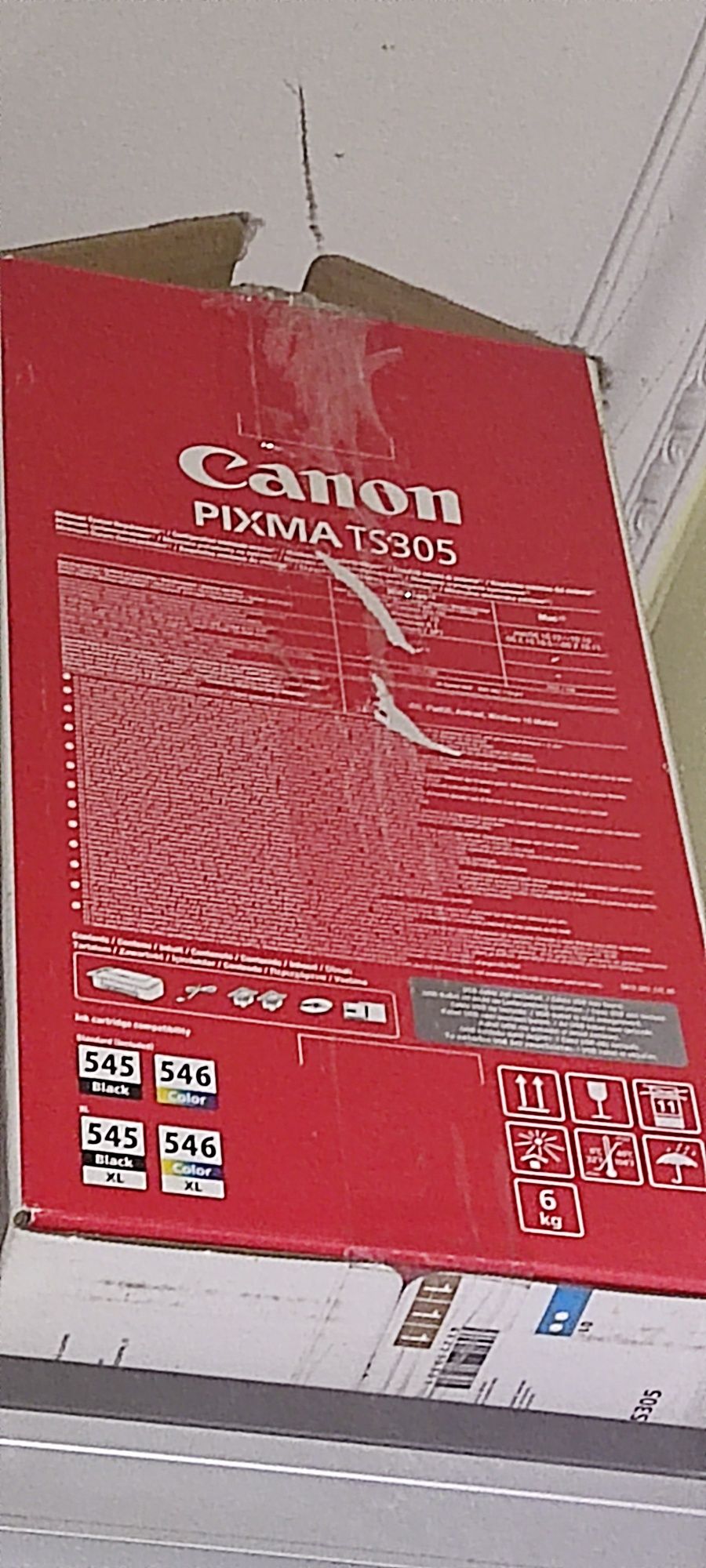 Принтер Canon PIXMA TS305 без картриджів