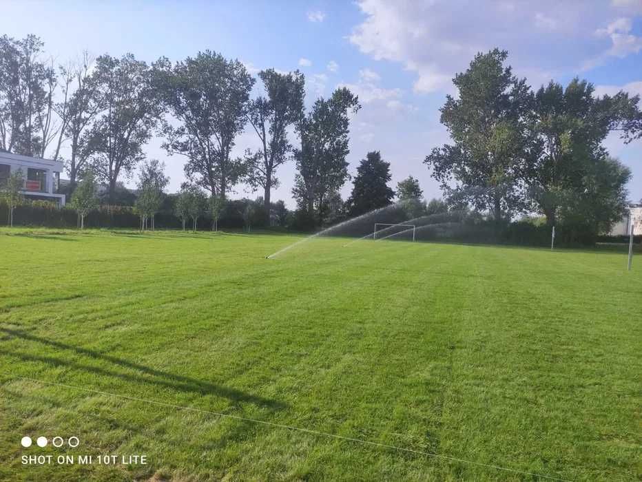 Trawa z rolki Wrocław (PRODUCENT)