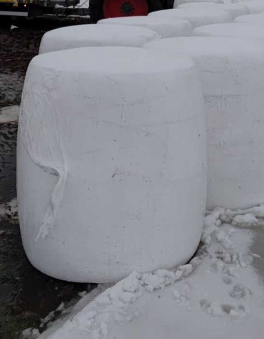 Wysłodka buraczana w balocie