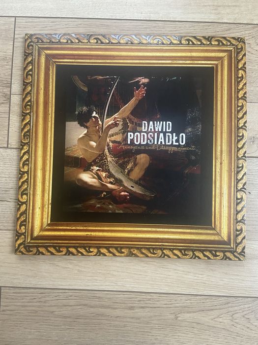 Winyl Dawid Podsiadło Annoyance and Disappointment