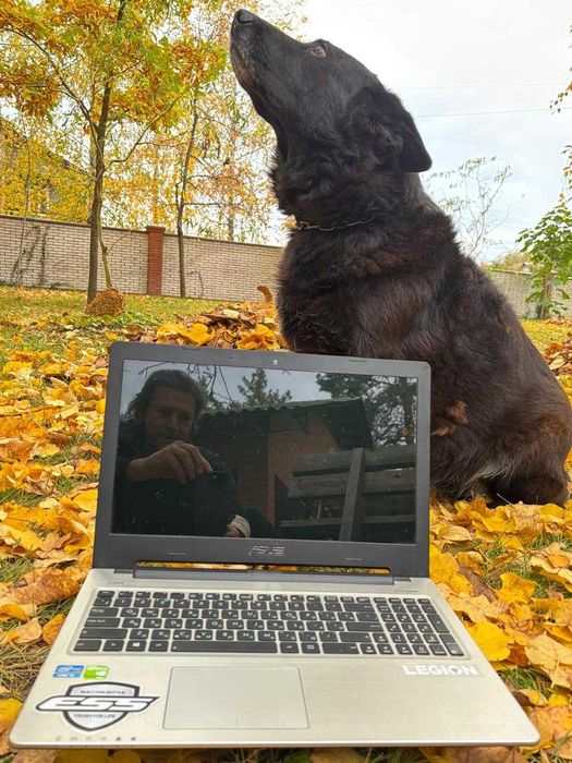 Ноутбук Asus k56cb
