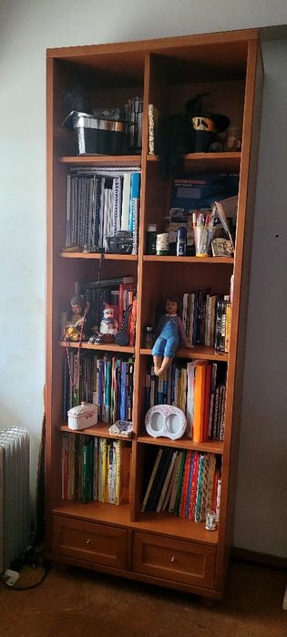 Estante em faia maciça com duas gavetas