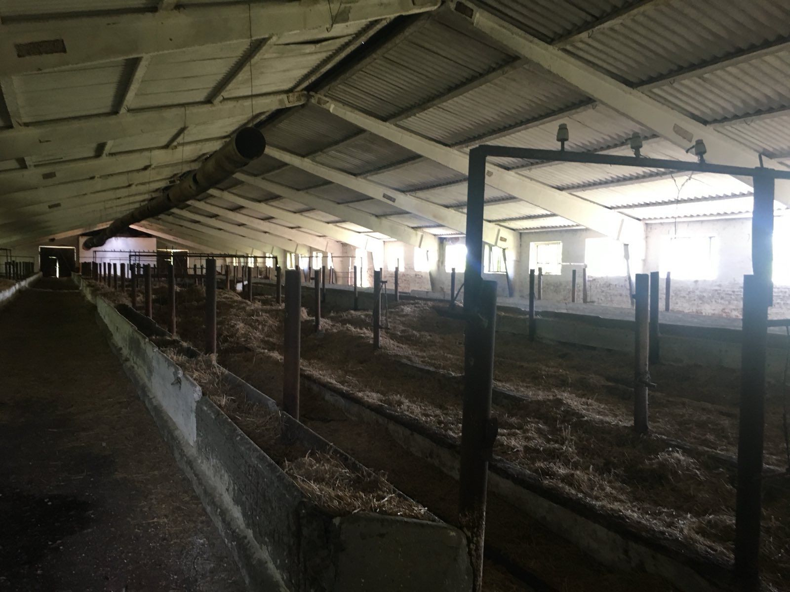 Продам ферму в с. Живачів від Власника