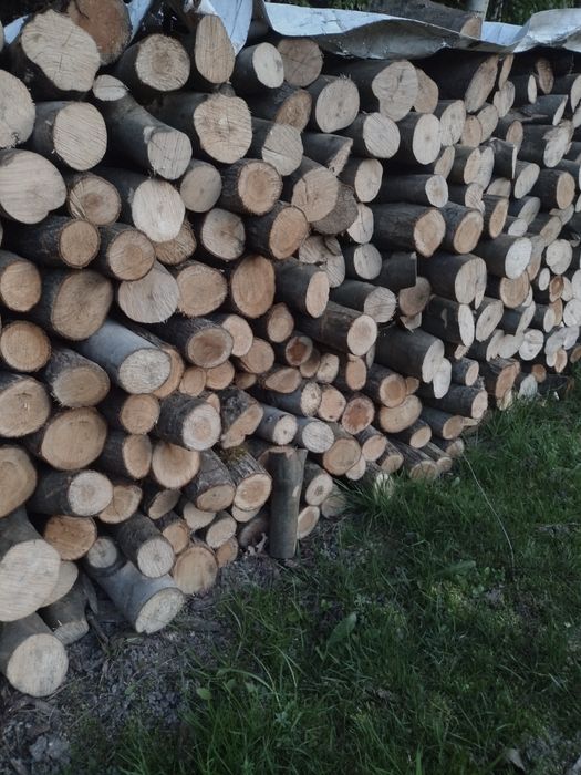 Drewno opałowe liściaste suche