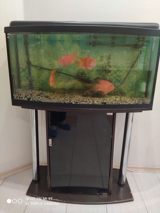 Акваріум із рибками та обладнанням 200 л