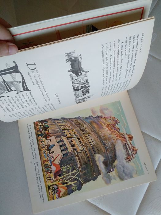 Grande Bíblia Ilustrada Antigo Testamento Verbo Juvenil