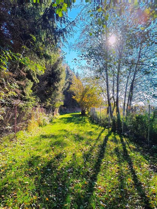 Działka budowlana ze stawem / działka rekreacyjna 2500 m2