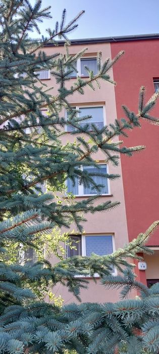 Mieszkanie Szczucin na  sprzedaż