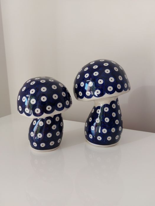 Zestaw dwóch nowych grzybków Bolesławiec