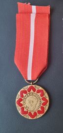 Medal Waryński jeden
