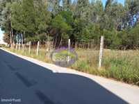 Terreno Industrial e plano - Zona Industrial de Cortegaça