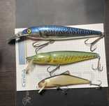 Wobler, Salmo Whitefish 18, Pike 16, Skinner 12, nie Rapala, przynęta