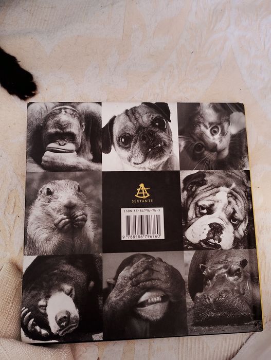 Livro. Ilustrado. Motivacional