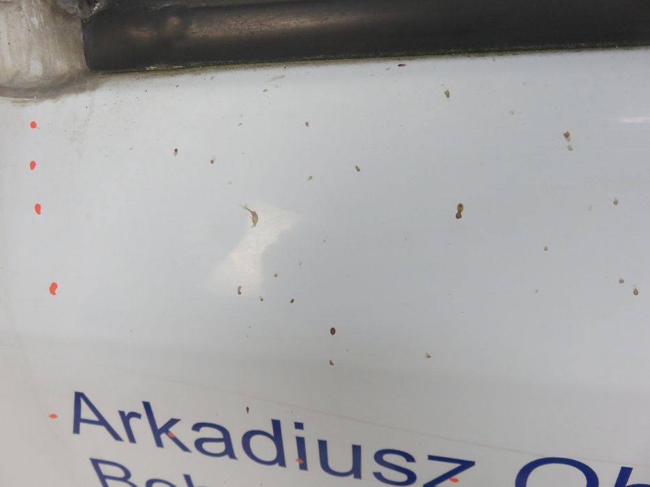 Drzwi Lewe Przednie Renault Kangoo Express II O389