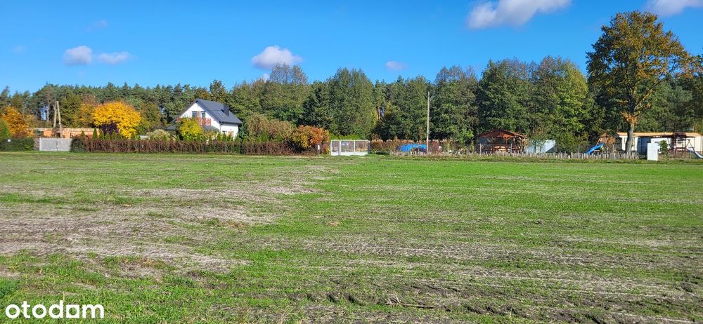 Działka z warunkami zabudowy Wilków gm. Dalików