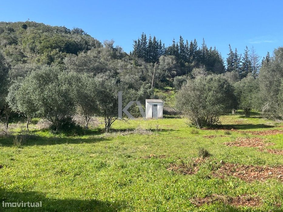 Terreno com excelente exposição solar, com água e eletricidade em Port