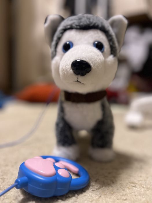 Дитяча інтерактивна інрашка цуценя, собака на повідку
