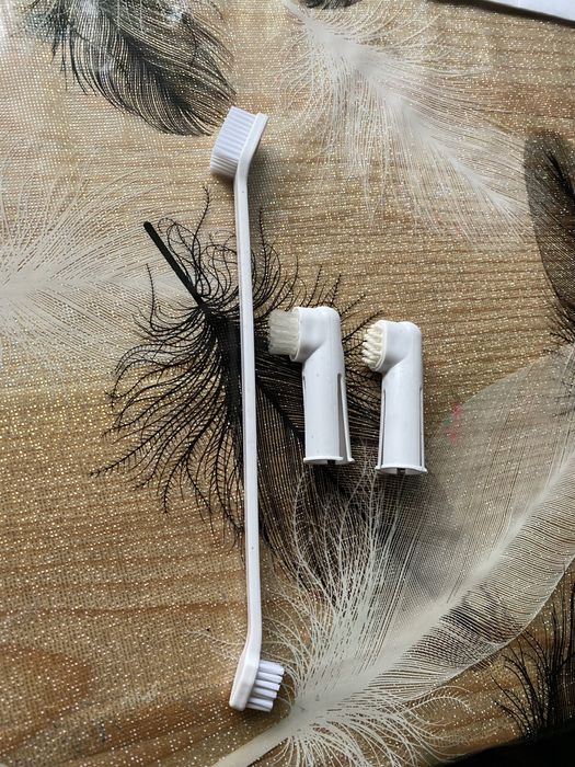 Набір для гігієни ротової порожнини домашніх улюбленців щітки паста