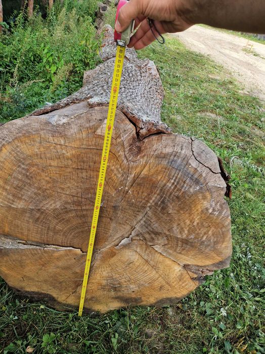 Kłoda Jesion Dąb  drzewo duże deski