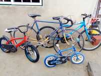 Várias bicicletas