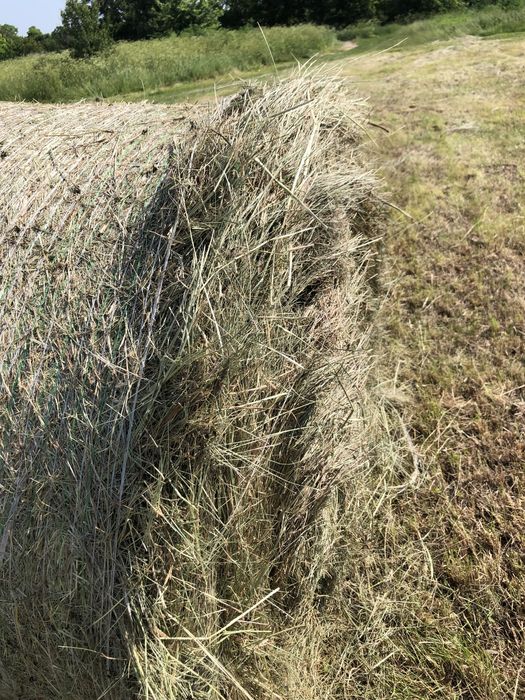 Сіно в тюках та в рулонах.