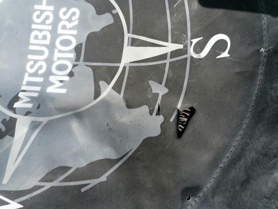 Pokrowiec na koło zapasowe Mitsubishi Pajero