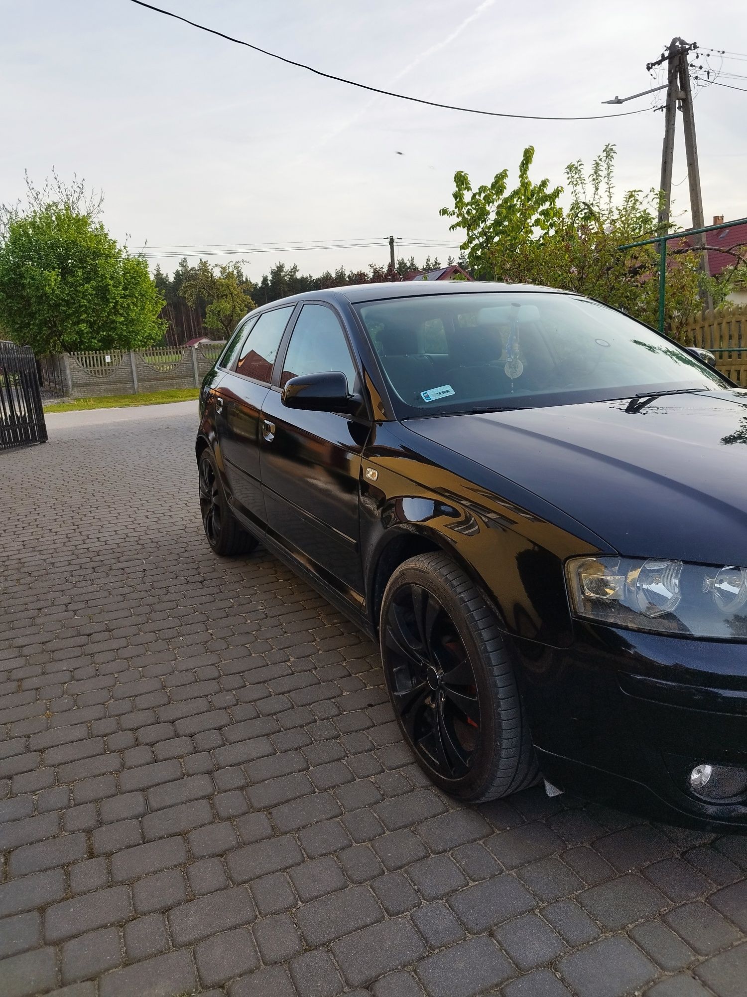 Audi a3 8p 2008 2.0diesel