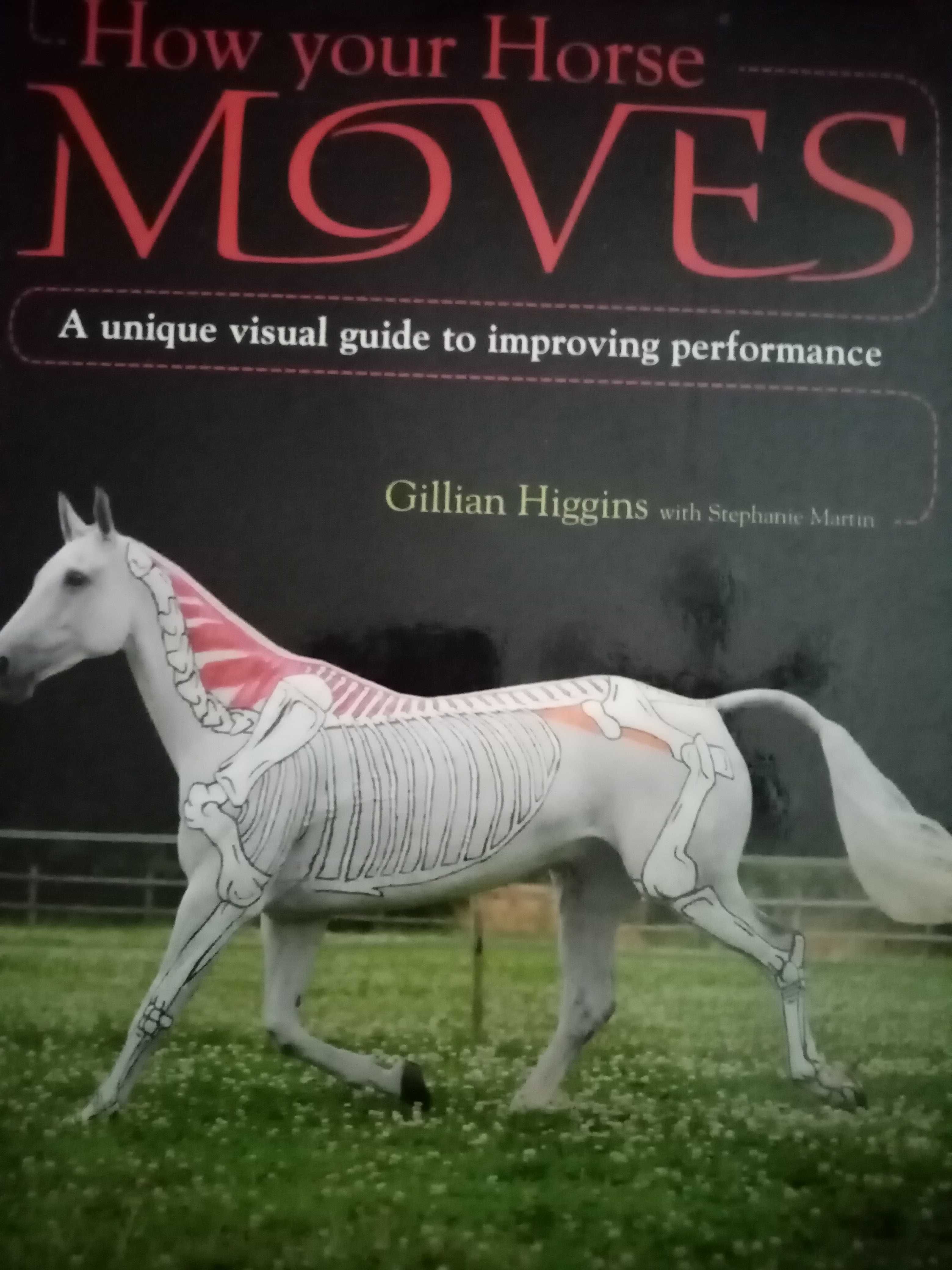 How your Horse Moves