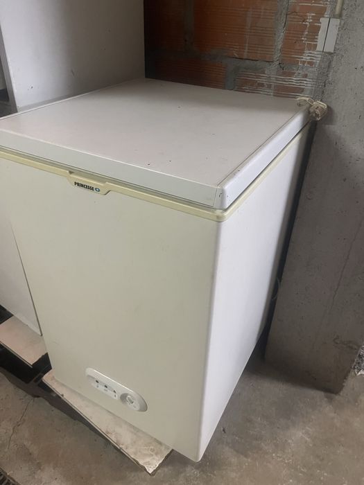 arca congeladora princess