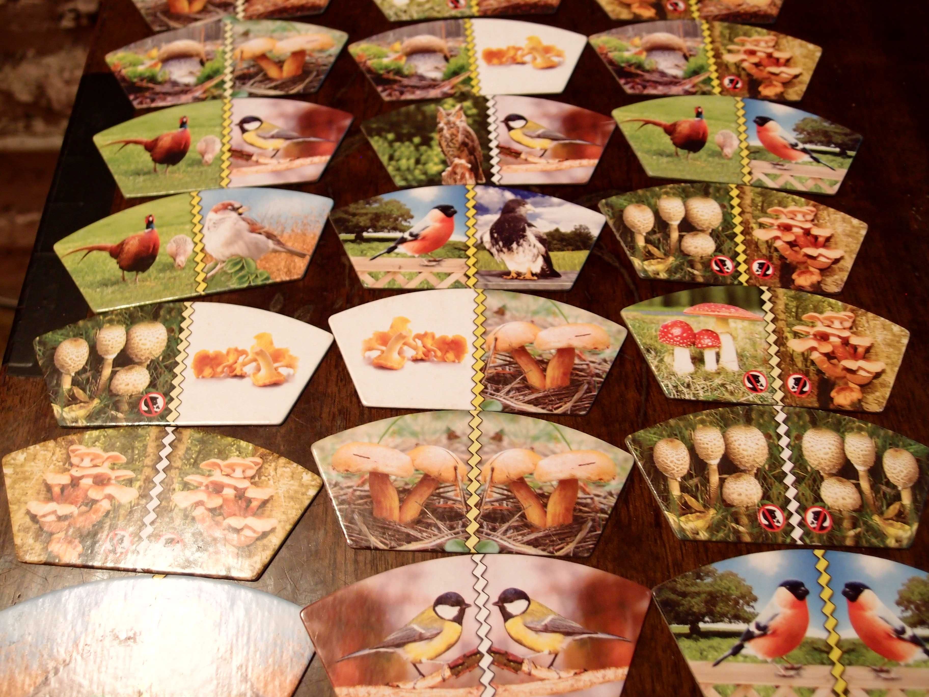 Gra Domino 45 elementów grzyby i ptaki Stan obrazków bardzo dobry
