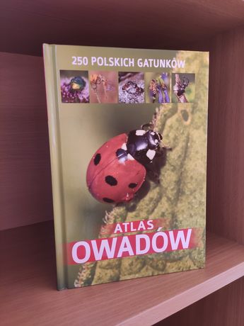 Atlas Owadów 250 polskich gatunków