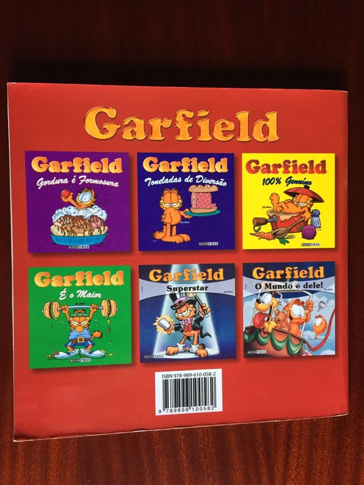 Garfield Superstar