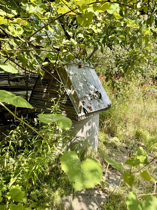 Продаж дачі в «Тетерівському масиві»