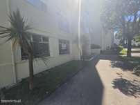 Loja Aldoar Porto ideal transformar em apartamento