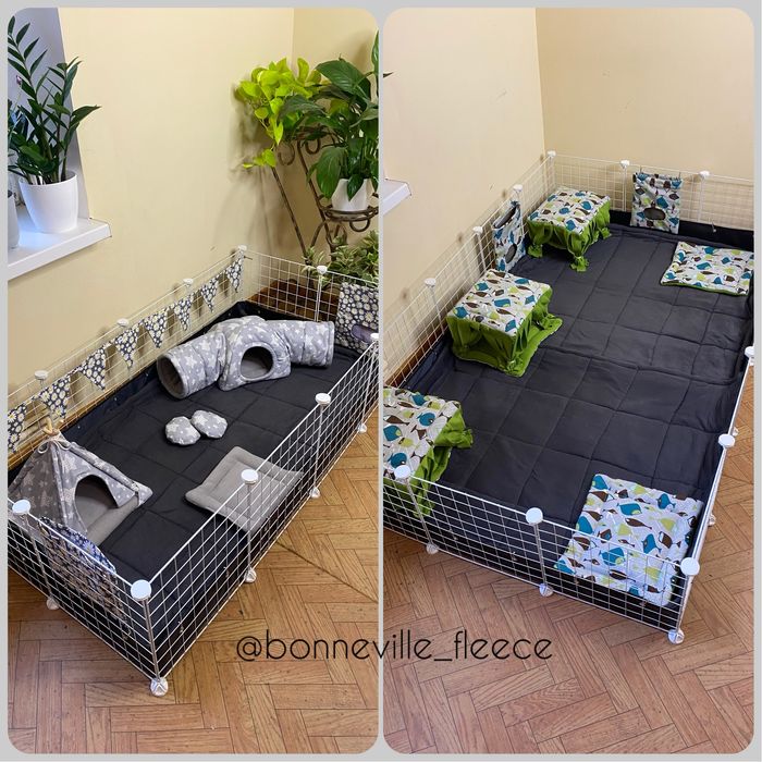 Морська свинка Гамачок Табурет