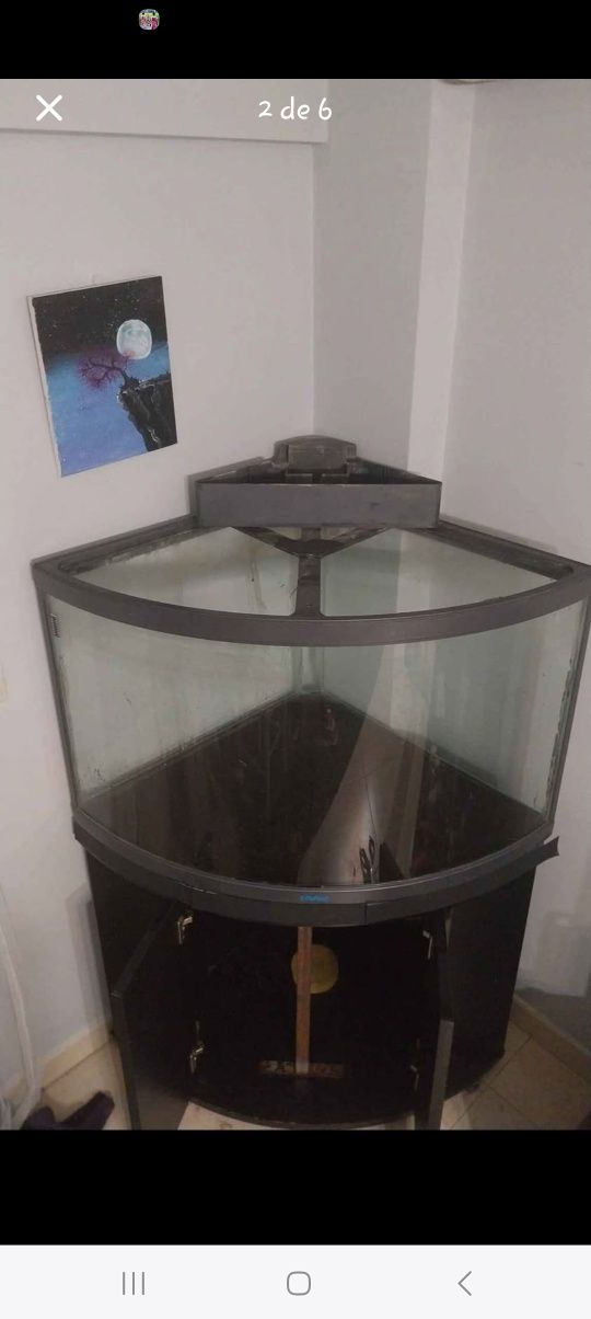 Aquario 350 litros de canto com filtro termostato