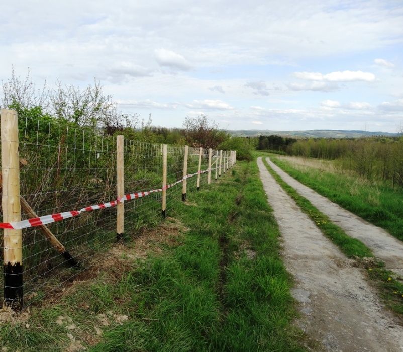 Ogrodzenie z siatki leśnej tymczasowe budowlane FAKTURA VAT od 23 zł