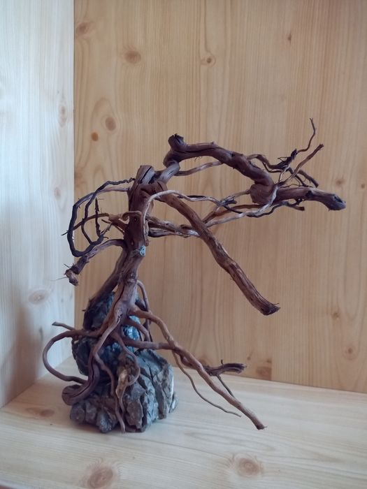 Акваріумний бонсай, акваріумні декорації