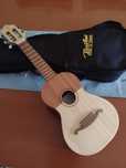 Cavaquinho com saco