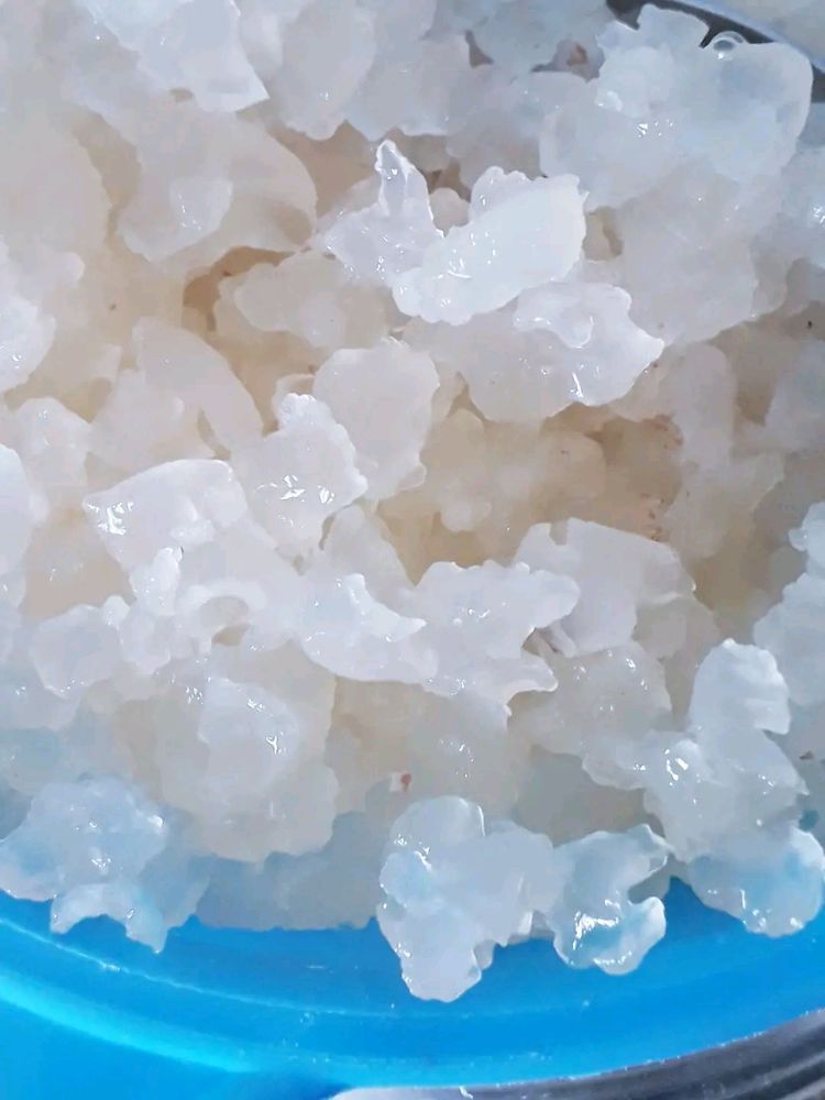 Kefir de água ( probióticos )