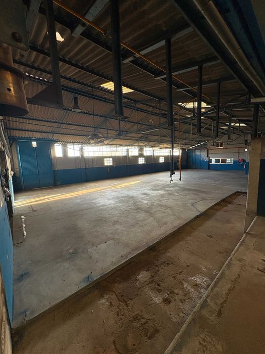 Arrenda Armazém 1700 m² | Entre São Mamede e Fátima | Excelente Acesso