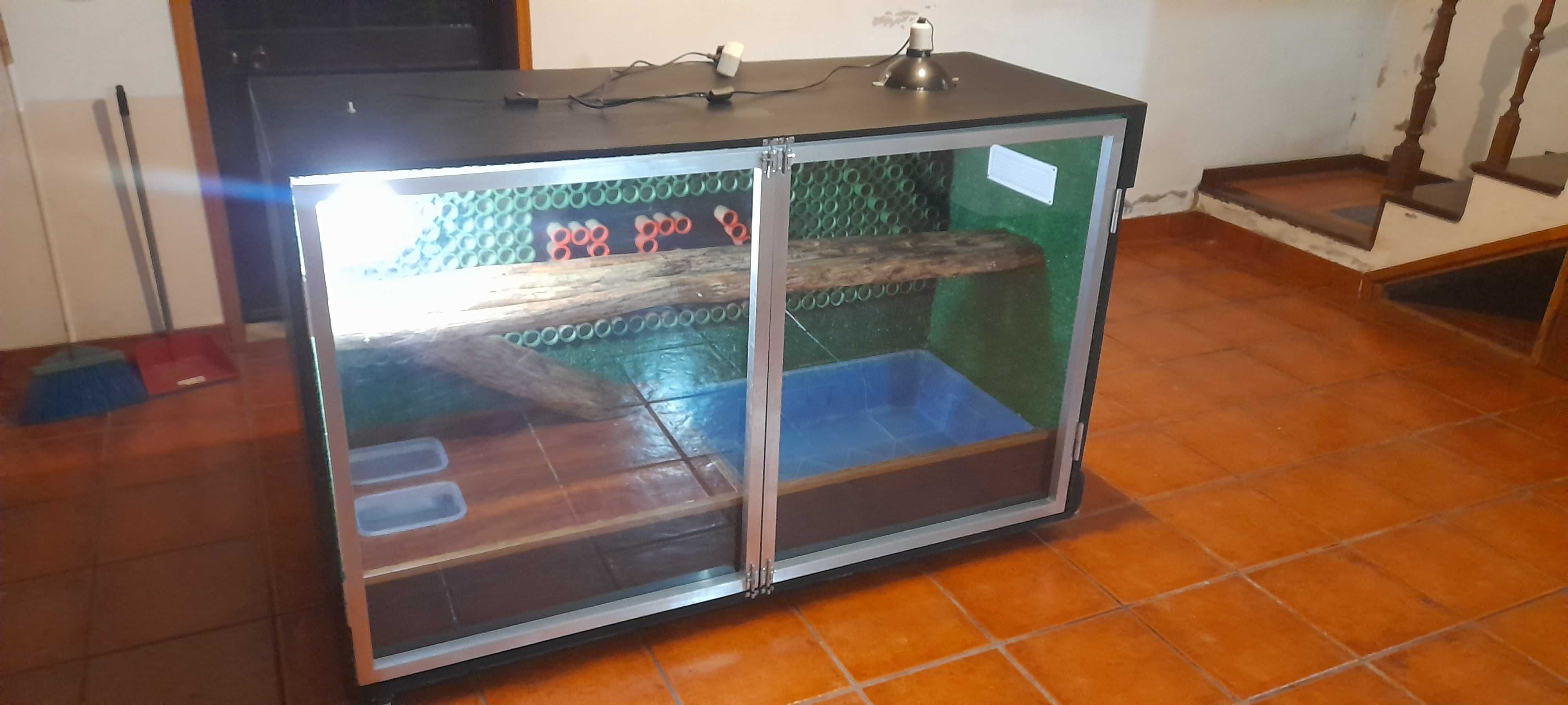 Terrario para réptil