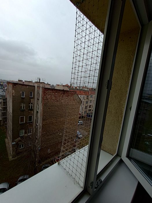 Siatka na balkon, siatka dla kota, siatka przeciw ptakom