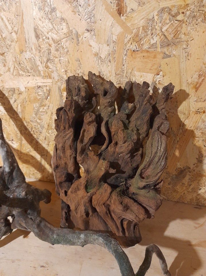 Korzenie do akwarium