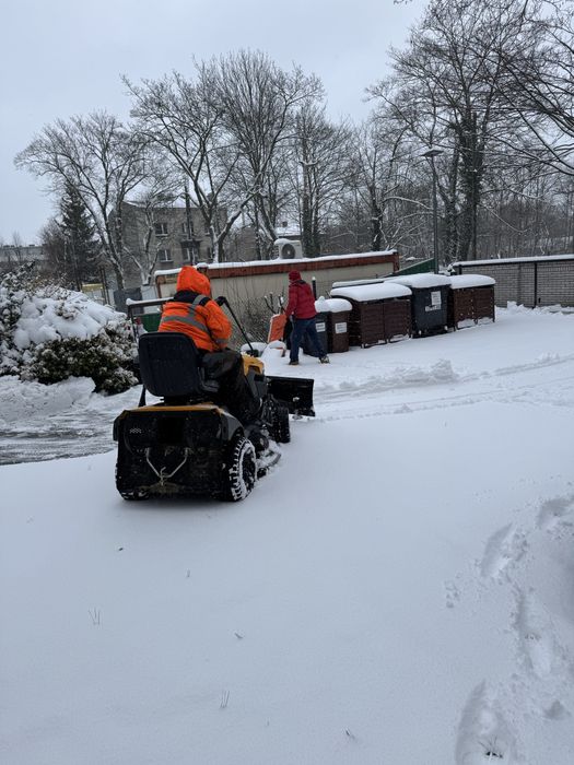 Odśnieżanie posesji