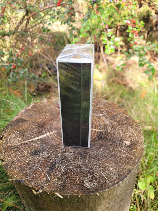 Chanel Platinum Egoiste Woda Toaletowa 100 ml.