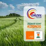 Jęczmień ozimy KWS KOSMOS, KWS Tolanis,  kwalifikowany materiał siewny