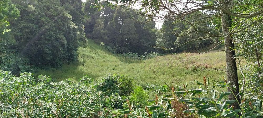 Terreno Rústico com 7.640 m²