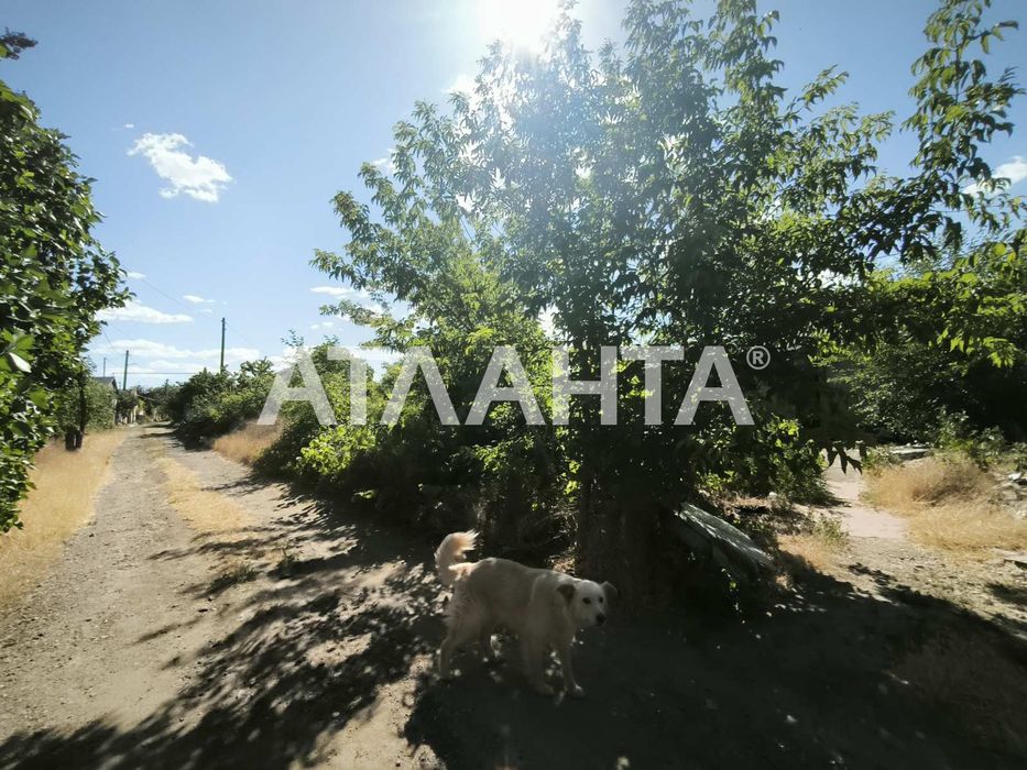 Участок в с. В.Дальник